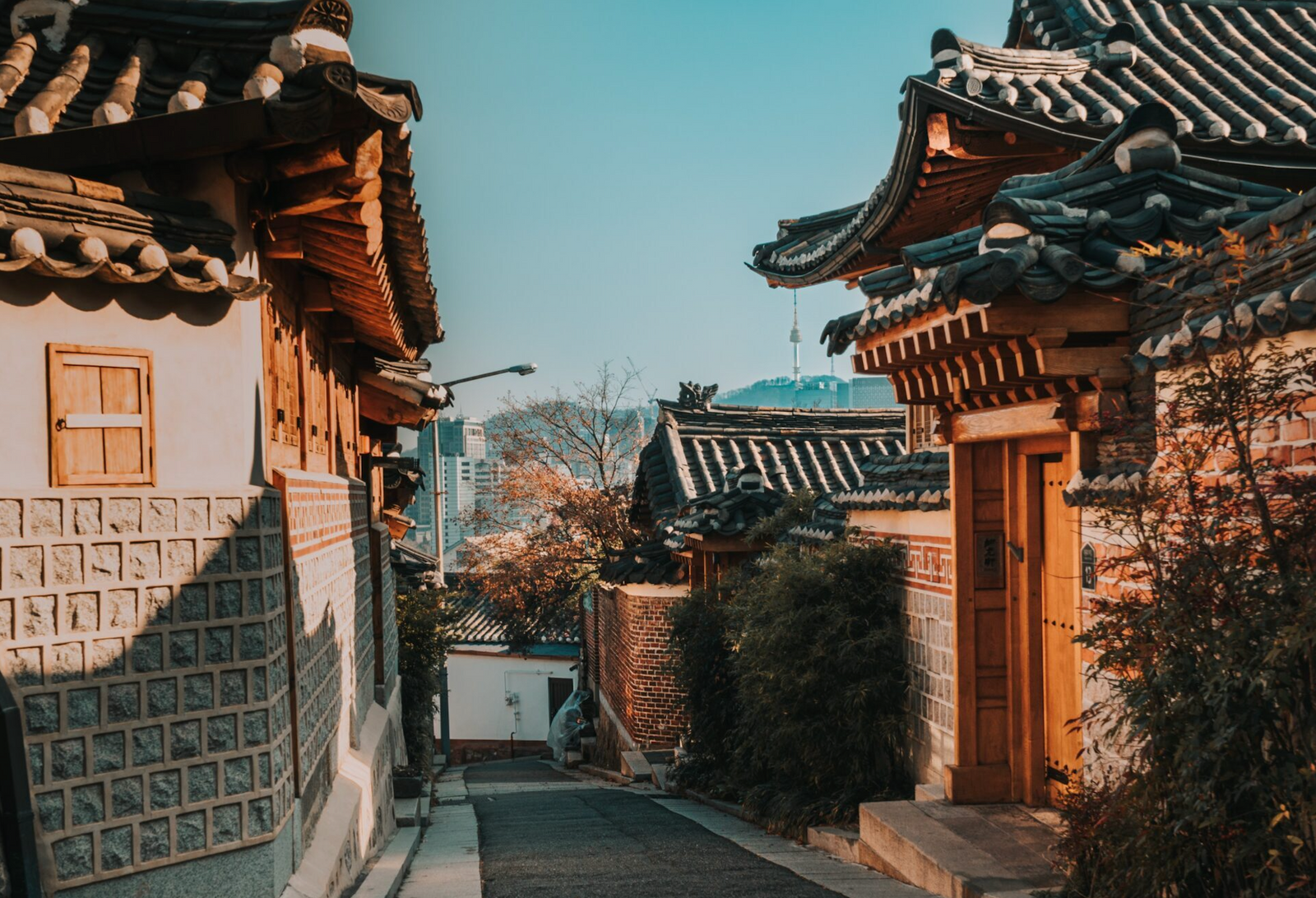 From Seoul to the States: How a Korean Tradition Is Redefining How to Drink Responsibly