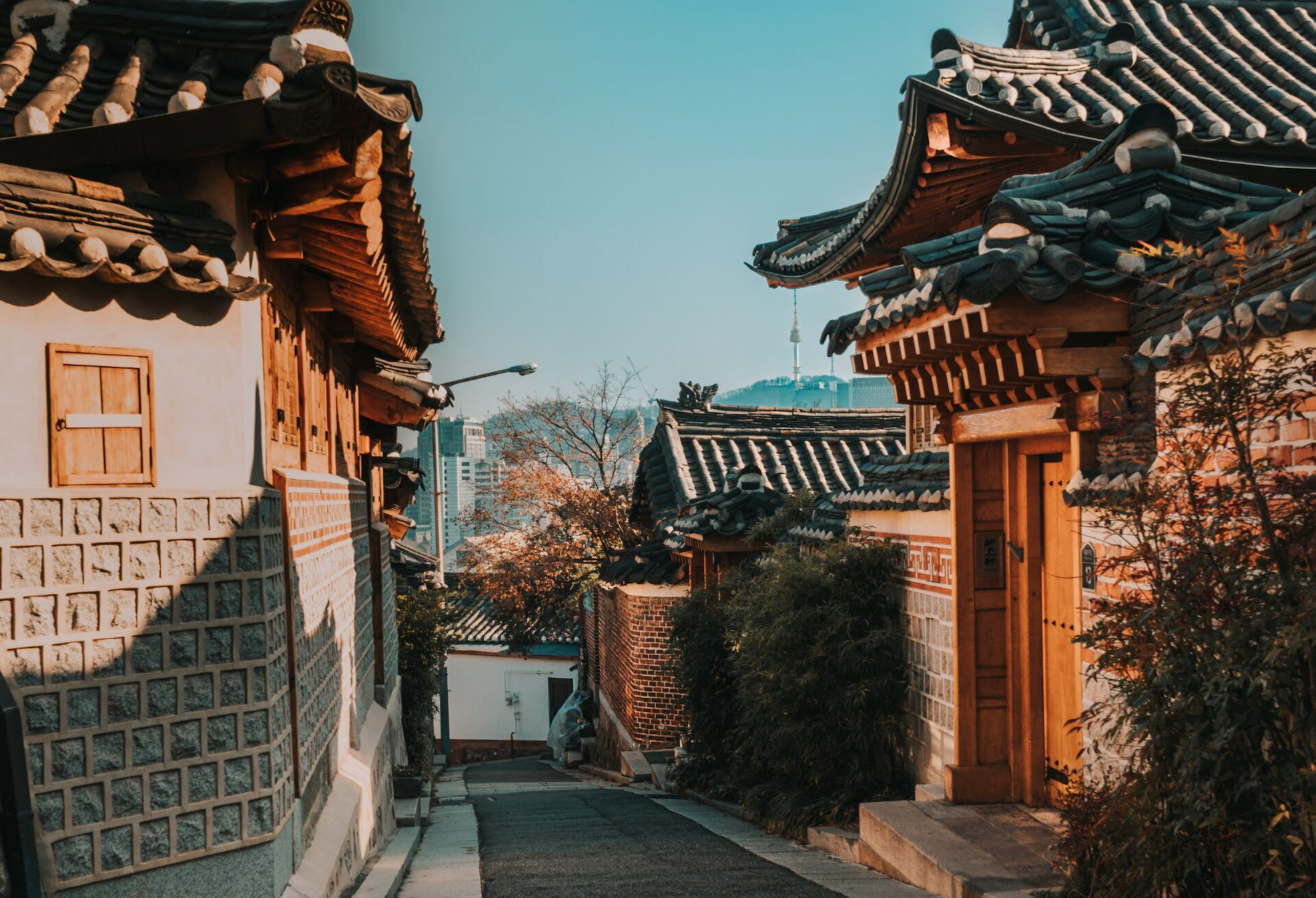 From Seoul to the States: How a Korean Tradition Is Redefining How to Drink Responsibly