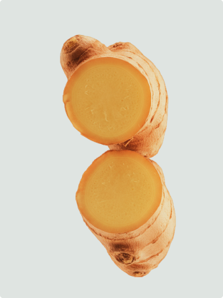 Turmeric (Rhizome) Extract