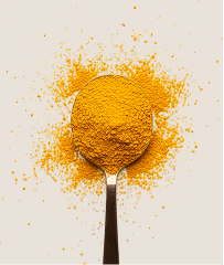 Thiamine (Vitamin B1)